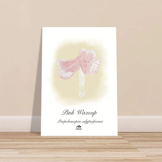 02b2bb45-7fcd-451c-aa5a-ccc5e996a77a