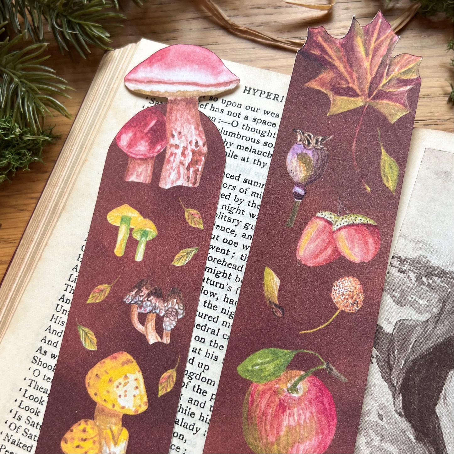 Fall Forage | Mushroom Botanical Bookmark | Nature Inspired