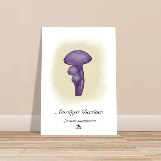 712a7a30-41c2-41ee-9a52-b3b2963a969f