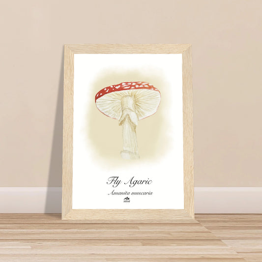 79fbf9d3-6d9c-4414-bcc1-01fd35cba19a