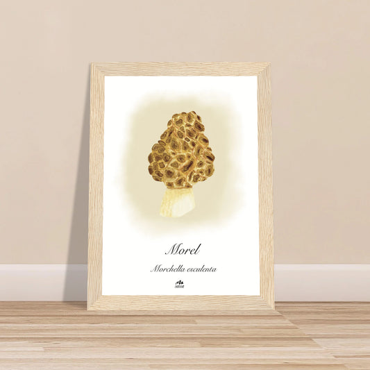 80fe8c27-4302-4531-bbbb-cbc9605a6d86