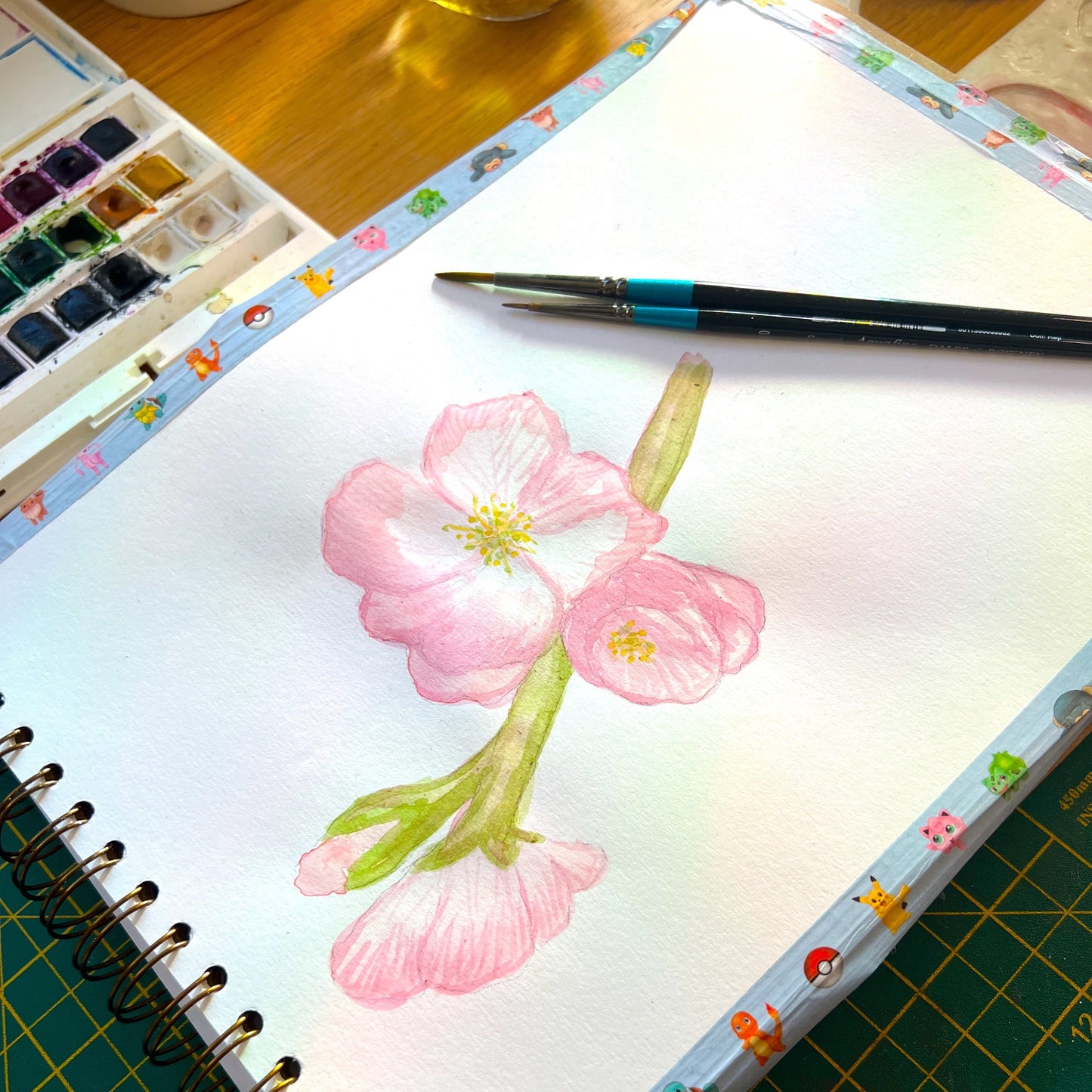 Watercolour illustration of a cherry blossom branch by Ripley Morgan artist