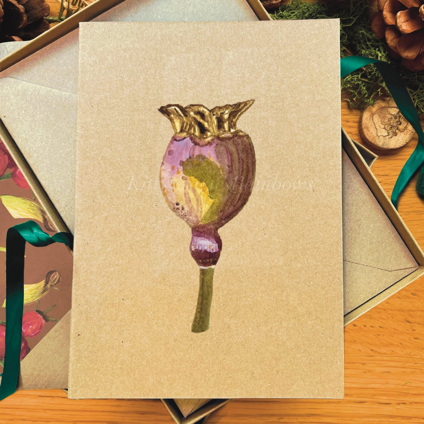 Poppy seed pod painted in watercolour attached to a natural recycled blank greetings card, laying in a box with an illustrated inlay envelope