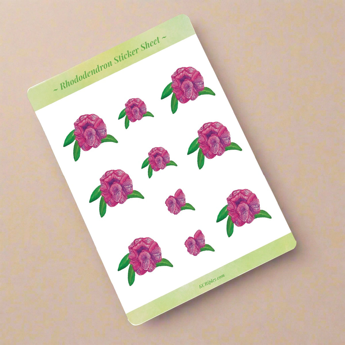 White sticker sheets with 10 pink rhododendron floral stickers, on a beige background