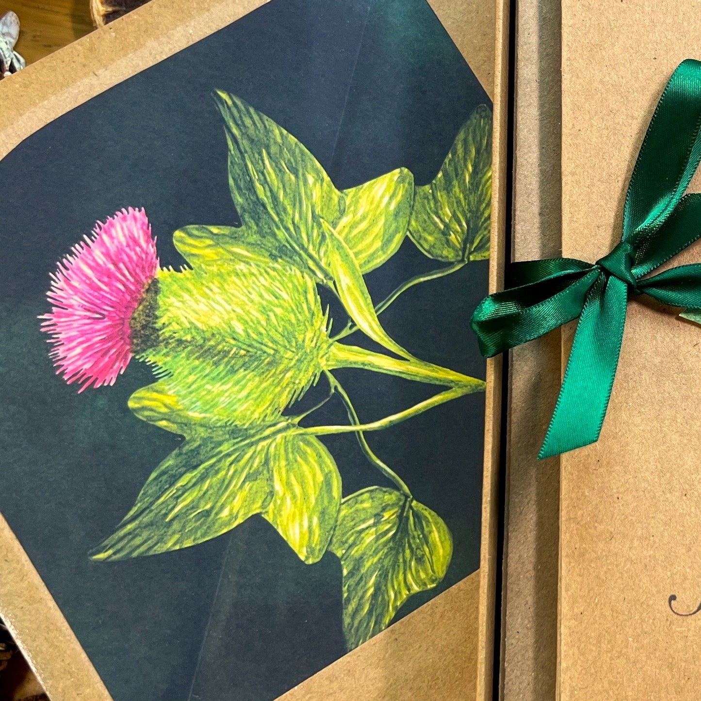 Close up of a brown envelope with a dark green illustrated inlay decorated with a striking thistle and ivy