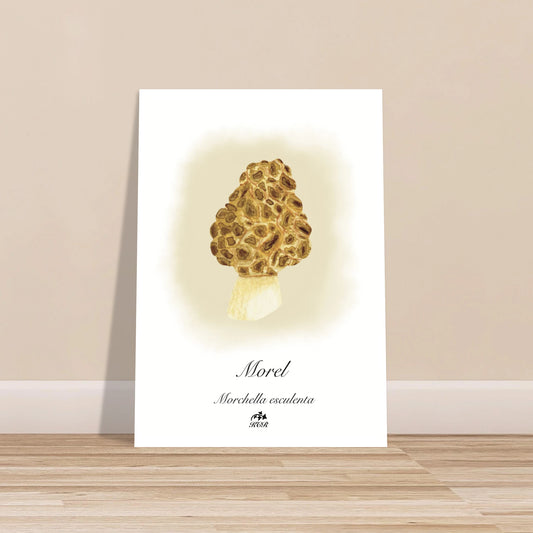 aebb31c0-a544-4116-bb8d-6627801c270a