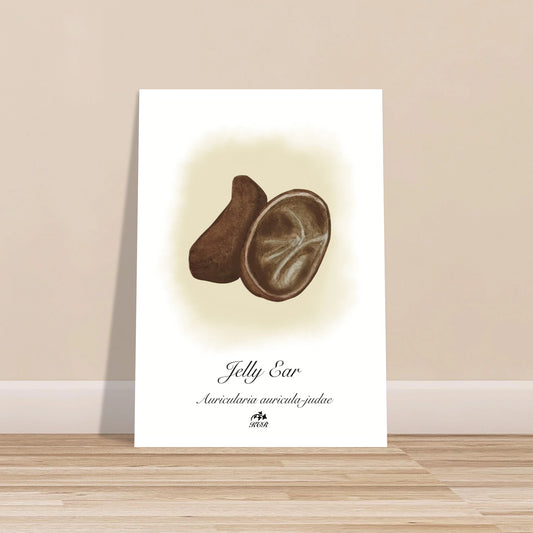 bfc712c0-d774-4785-8633-1aa8ec310729