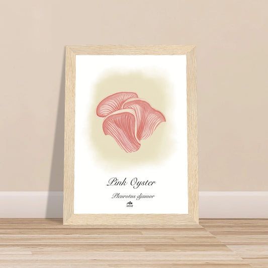 c319b281-01aa-4971-801c-c51a1c36f4c2