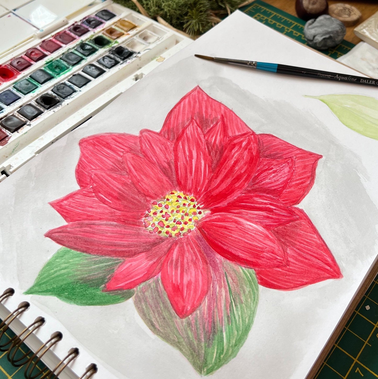 Watercolour sketchbook painting of a red poinsettia