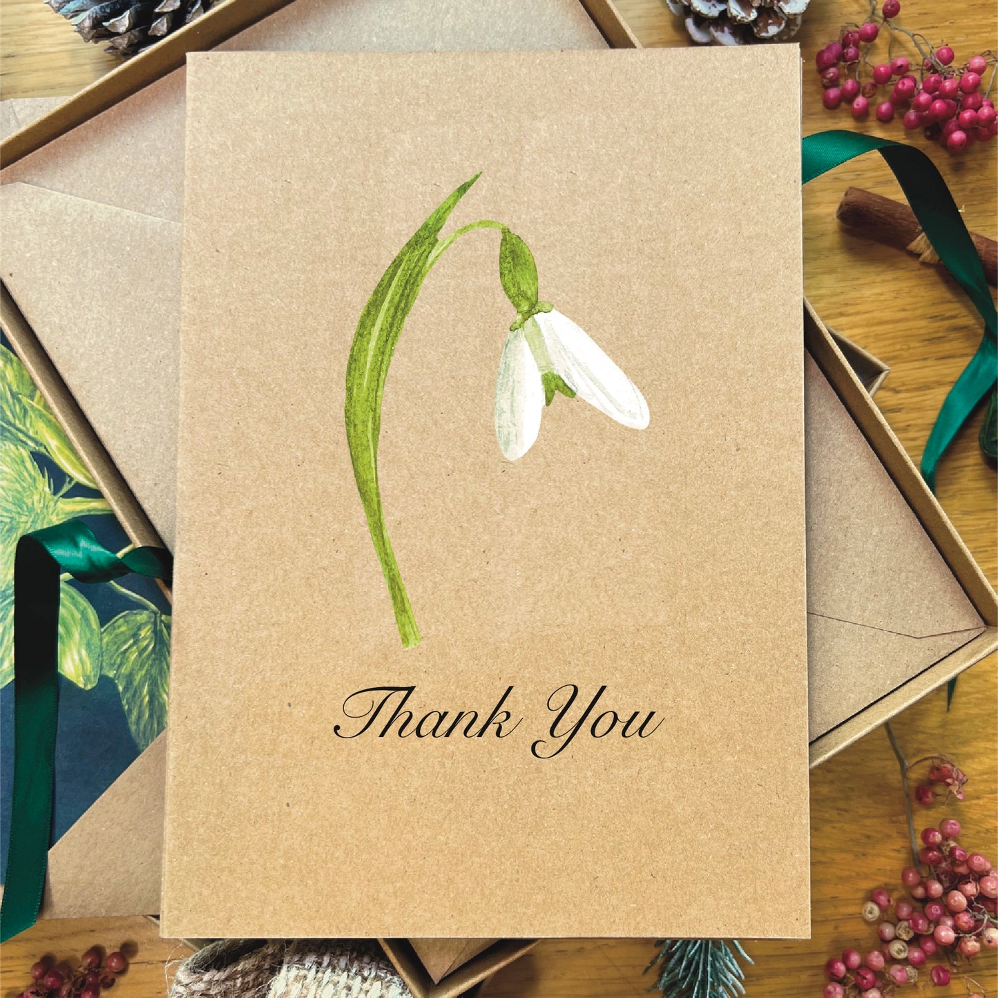 Snowdrop painted in watercolour attached to a natural recycled blank greetings card, laying in a box with an illustrated inlay envelope