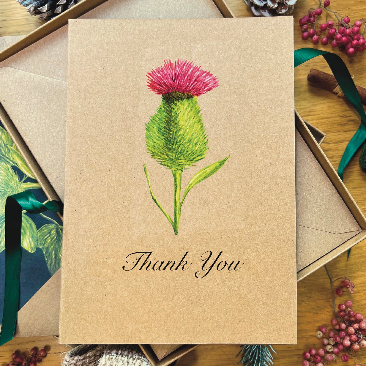 Spear thistle painted in watercolour attached to a natural recycled blank greetings card, laying in a box with an illustrated inlay envelope