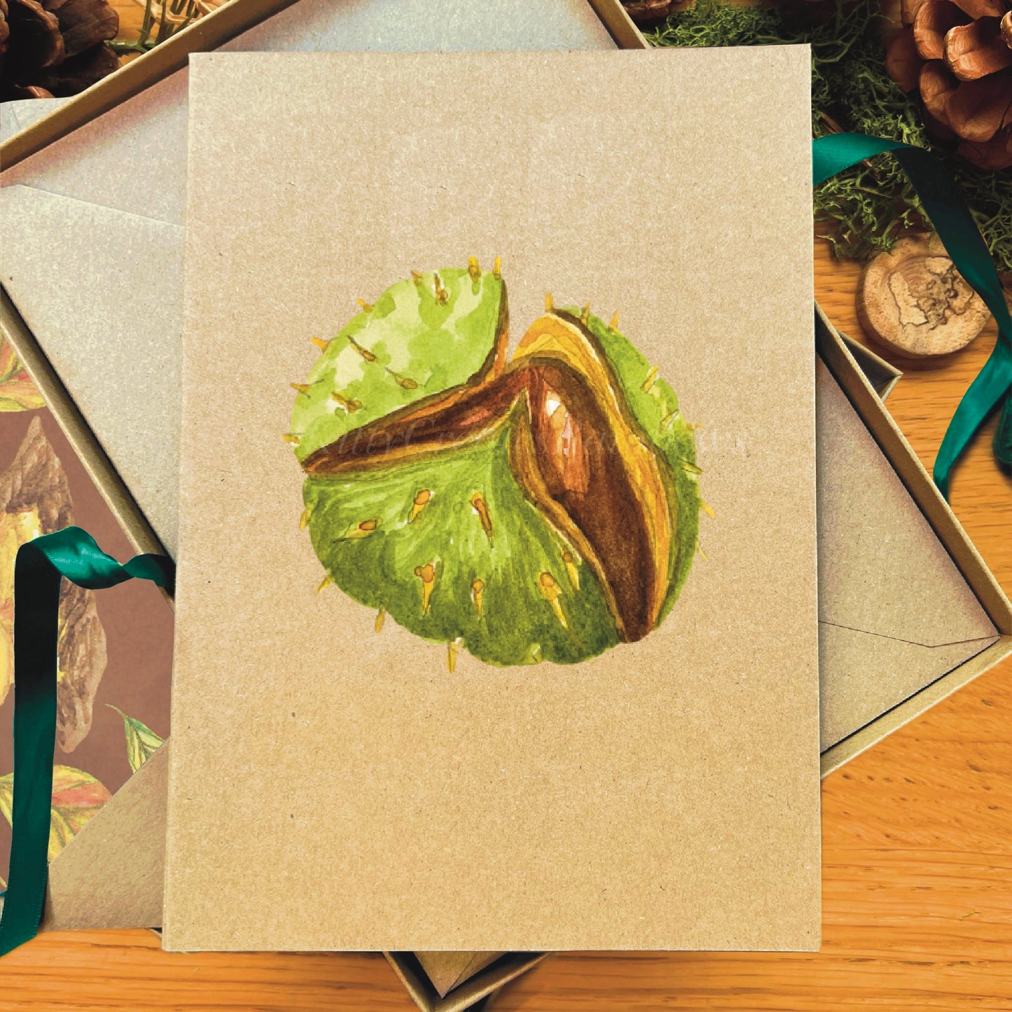 Splitting green spiked conker painted in watercolour attached to a natural recycled blank greetings card, laying in a box with an illustrated inlay envelope
