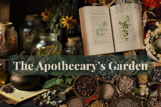 Jars of dried herbs, an open botanical book, and bowls of seeds arranged on an apothecary table, styled with earthy woodland colours beneath the title ‘The Apothecary’s Garden’