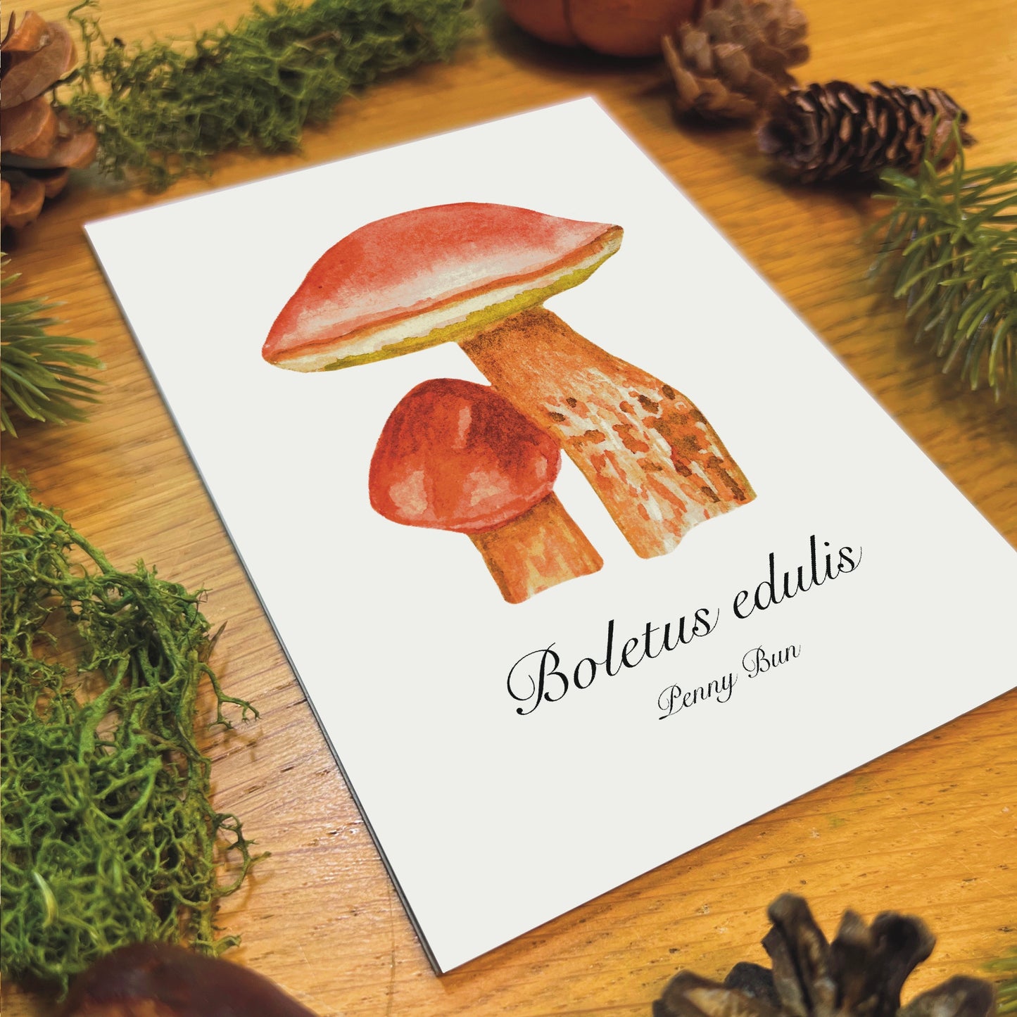 Penny Bun Mushroom Botanical Art Print