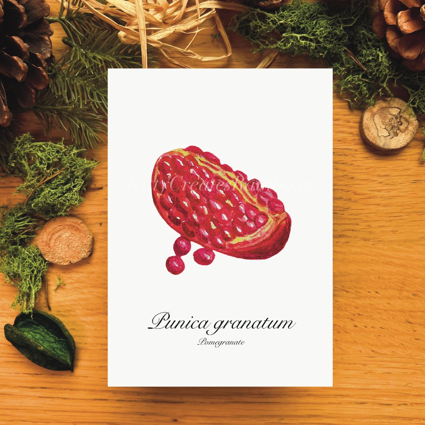 Pomegranate Botanical Art Print