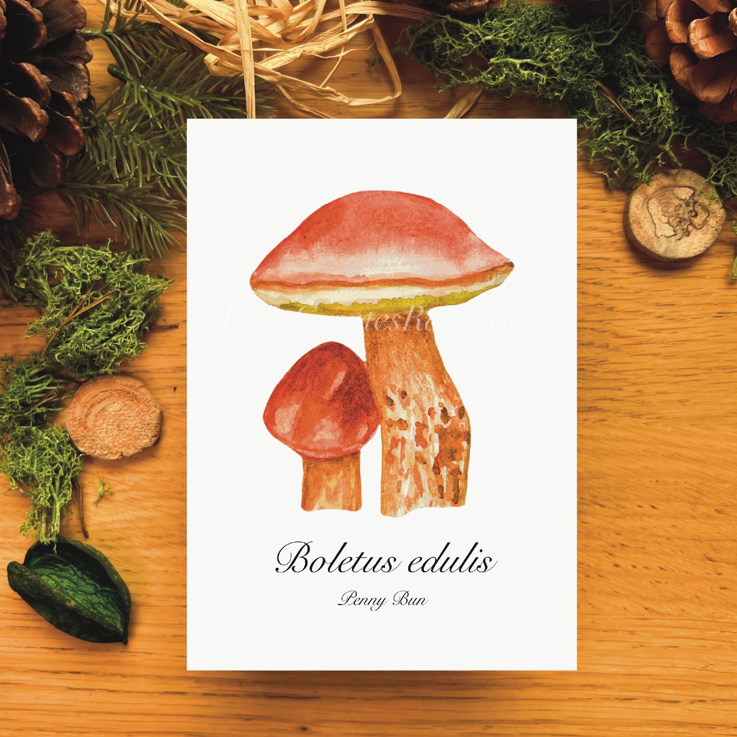 Penny Bun Mushroom Botanical Art Print