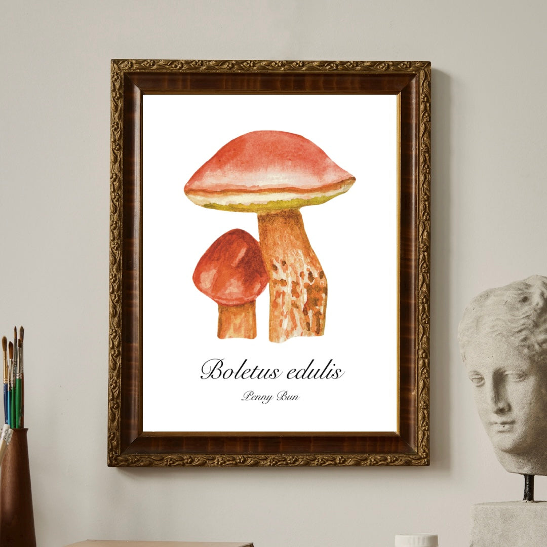 Penny Bun Mushroom Botanical Art Print