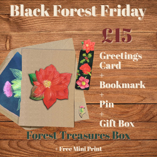 Forest Treasure’s Box