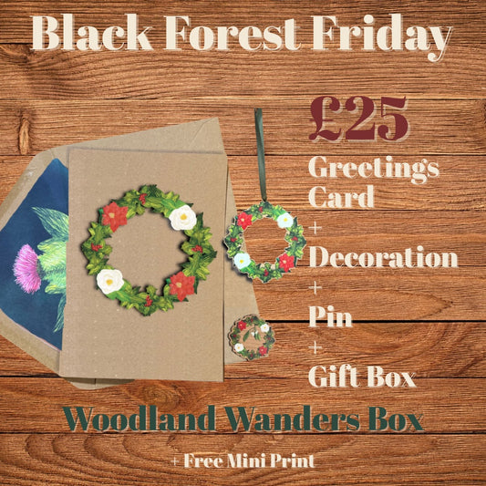 Woodland Wander’s Box