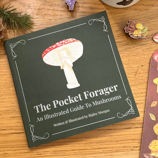The Pocket Forager: An Illustrated Guide to Mushrooms | PRE-ORDER SPRING 2026