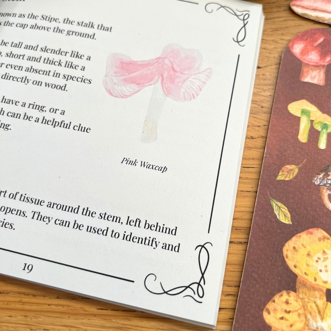 The Pocket Forager: An Illustrated Guide to Mushrooms | PRE-ORDER SPRING 2026