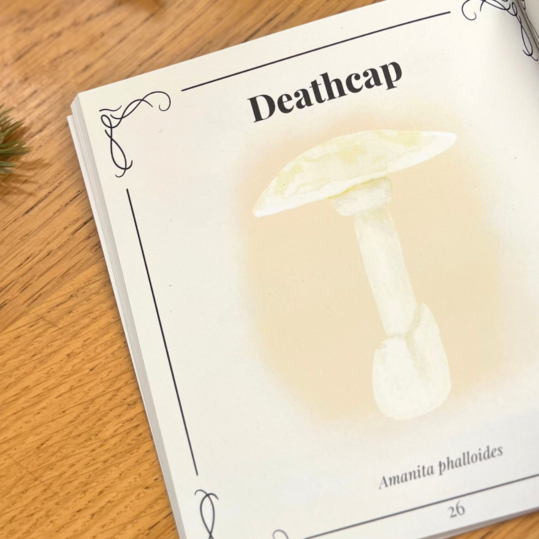 Illustrated Death Cap mushroom page from The Pocket Forager, featuring minimalist botanical artwork and species name Amanita phalloides.