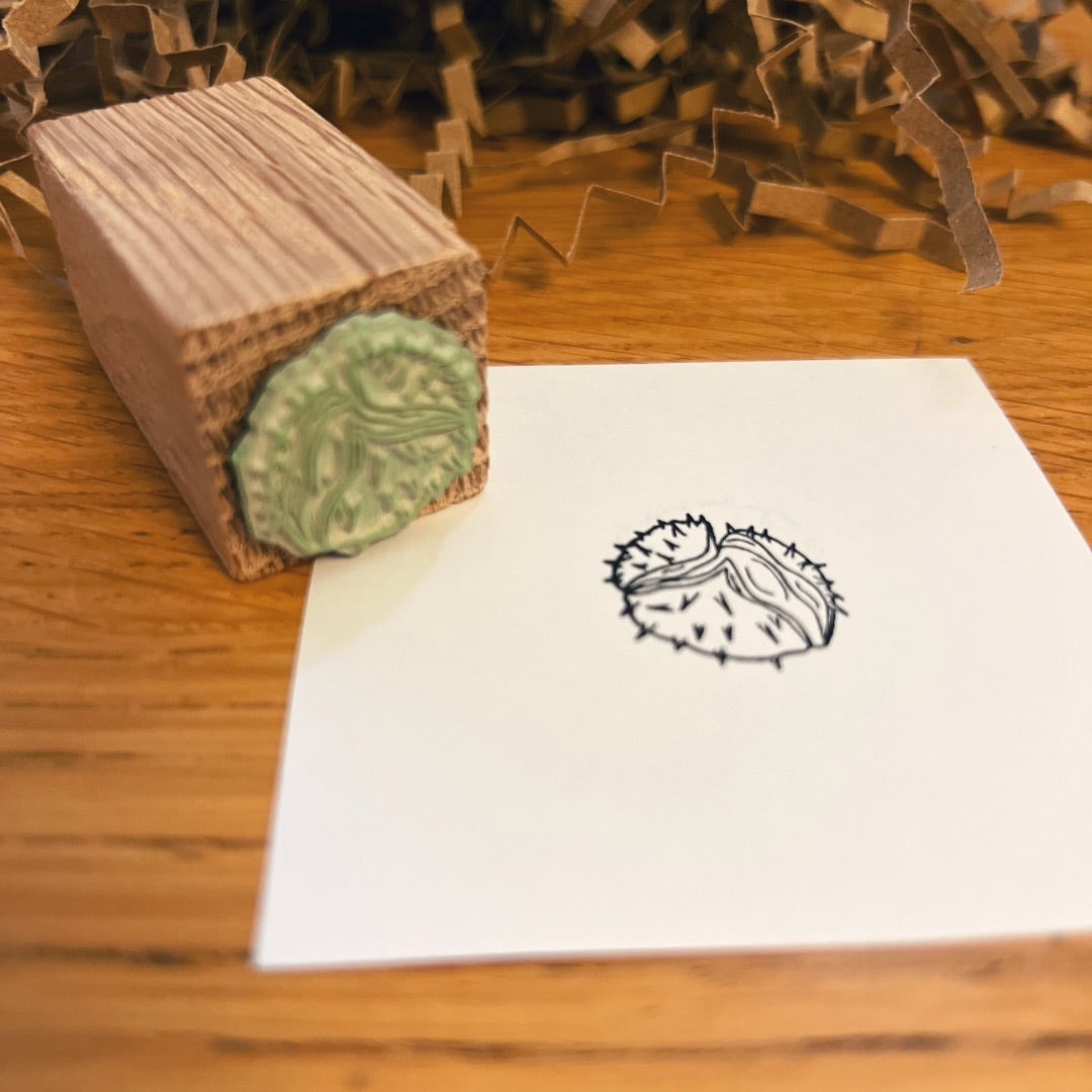 Conker Botanical Stamp | Eco-Friendly Rubber Stamp for Scrapbooking, Card Making & DIY Crafts