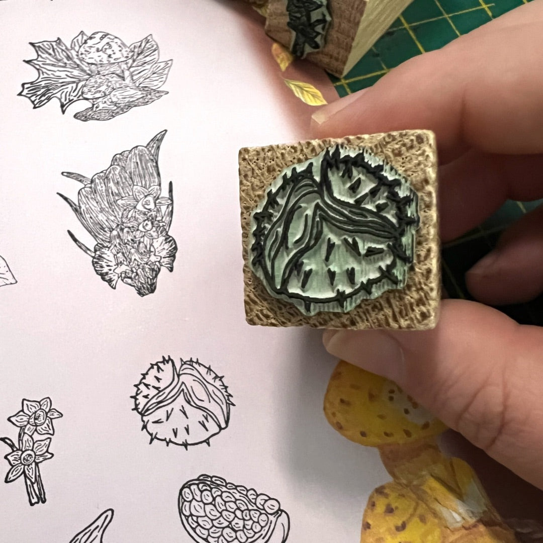 Conker Botanical Stamp | Eco-Friendly Rubber Stamp for Scrapbooking, Card Making & DIY Crafts