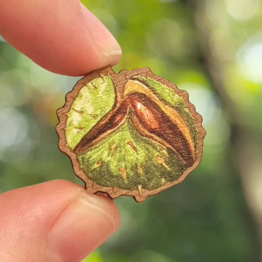 Conker Wooden Pin | Eco Friendly Nature Inspired Accessory