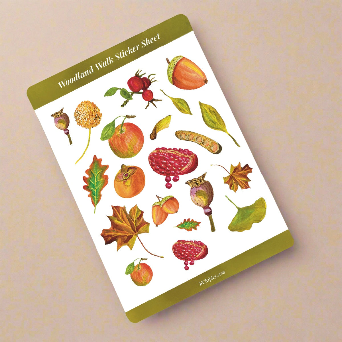 Woodland Walk Sheets | Sticker Sheet