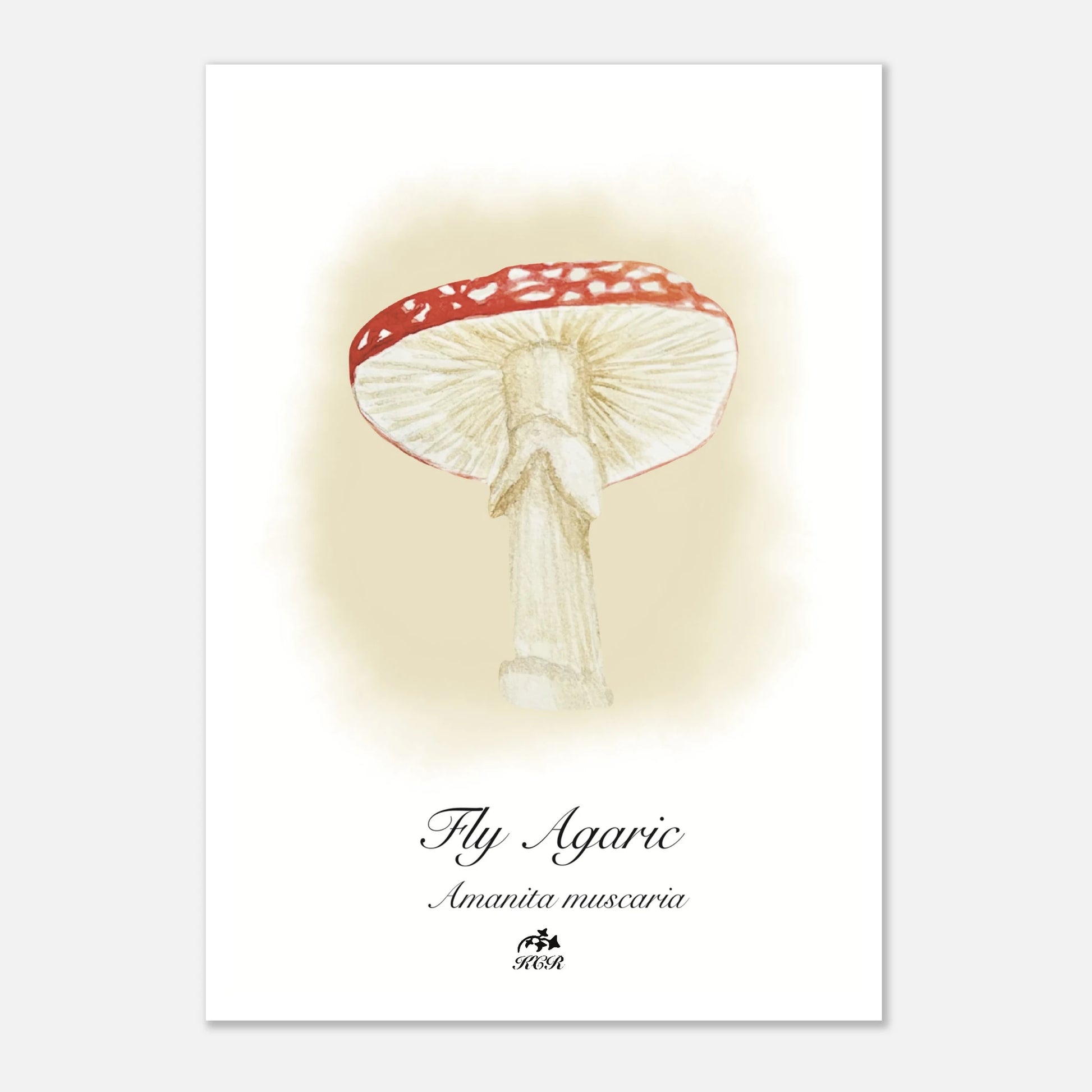 eab46fc5-bfd1-4b6a-95bb-239f799e6b2d